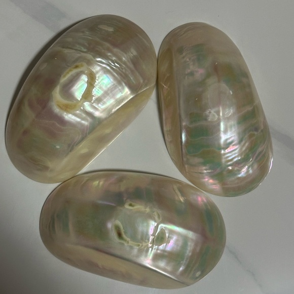 Iridescent Shell Decor Set - Picture 2 of 4